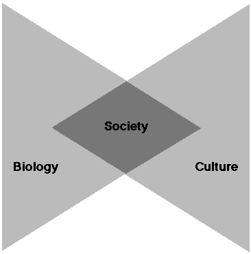 Figure 2: Flow